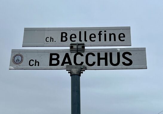 Chemin Bacchus à l’île d’Orléans